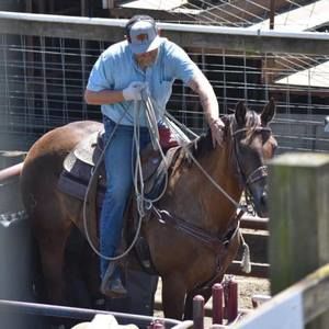 Meet your Posher, Patrick